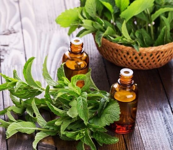 Эфирное масло Мята. 10 мл.