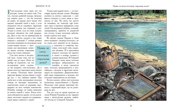 А звери чистят зубы?... и другие вопросы директору зоопарка