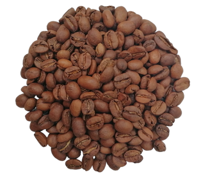 Сальвадор SHG EP