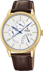 Мужские наручные часы Festina F20279/1