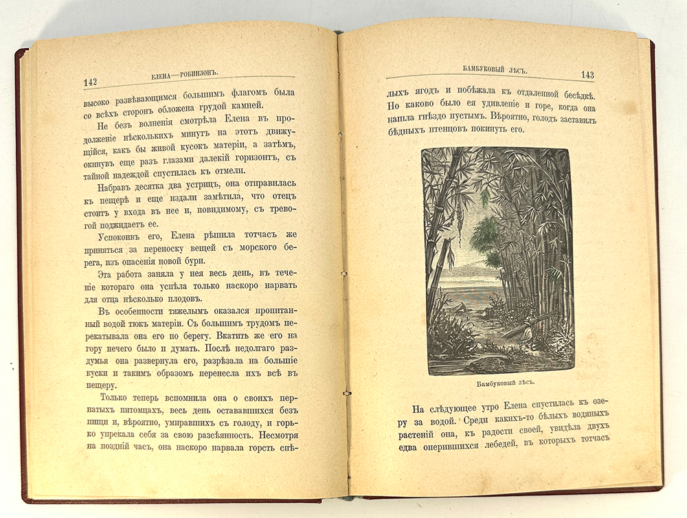 Гранстрем Э. Елена-Робинзон. СПб., Т-во Общественная польза, 189?