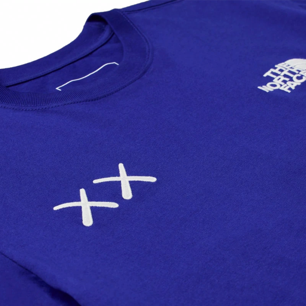 Футболки THE NORTH FACE x KAWS Logo T, Nf0A7WLL-VA6