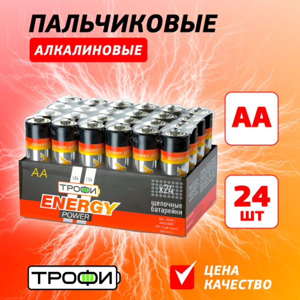 Батарейки Трофи LR6-24 bulk ENERGY POWER Alkaline