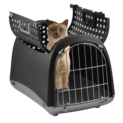 Cabrio cat on sale