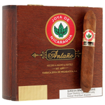 Joya de Nicaragua Antano Original Gran Perfecto