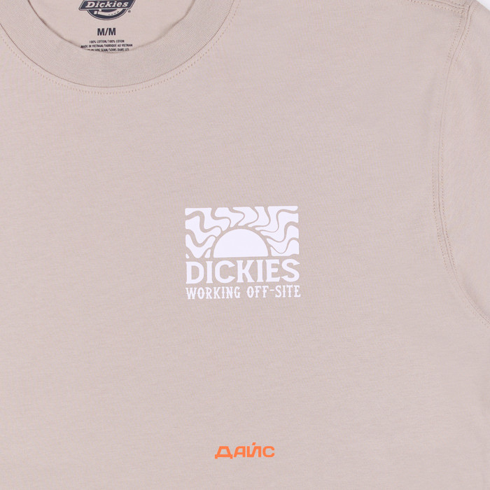 Футболка мужская Dickies Saltville Tee артикул:DK0A4YR9SS01 - купить в магазине Дайс