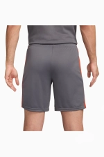 Шорты Nike Dri-FIT Academy - серый