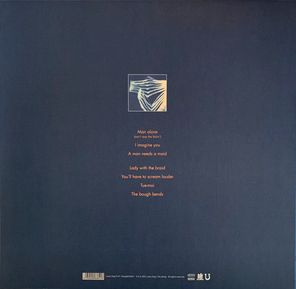 Tindersticks / Distractions (LP)