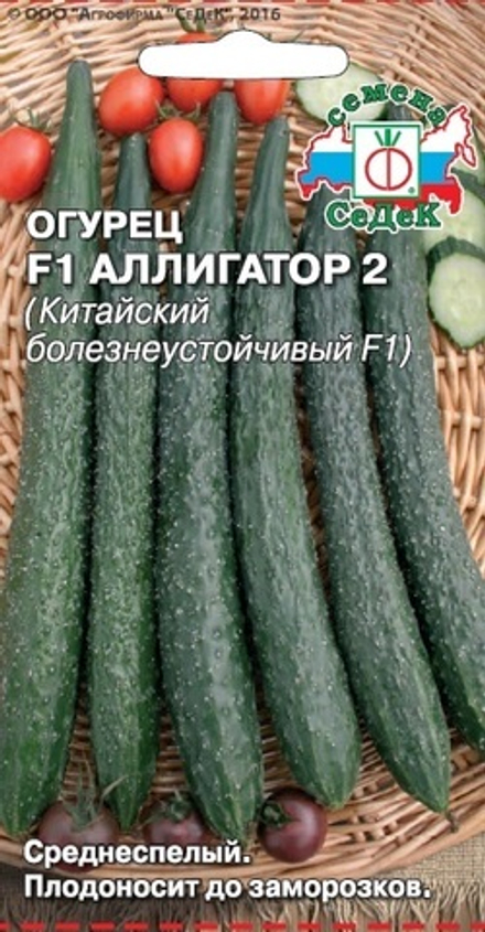 Огурец Аллигатор 2 F1