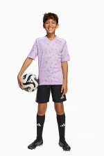 Футболка adidas Team Icon 25 Junior - фиолетовый