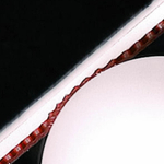 Butterfly Bryce High Speed