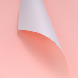 ЛИСТ с белой стороной 2-х ст 58*58/20шт