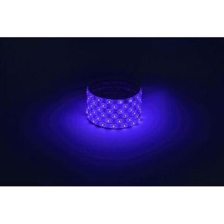 Лента светодиодная LS2835 -4.8-60-12-B-IP65-1 year-5m син. (уп.5м) Эра Б0059900