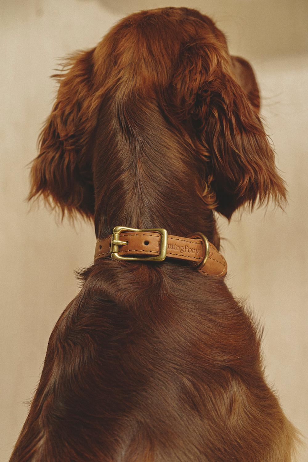 Ошейник "Пони-Макарони" Рыжий