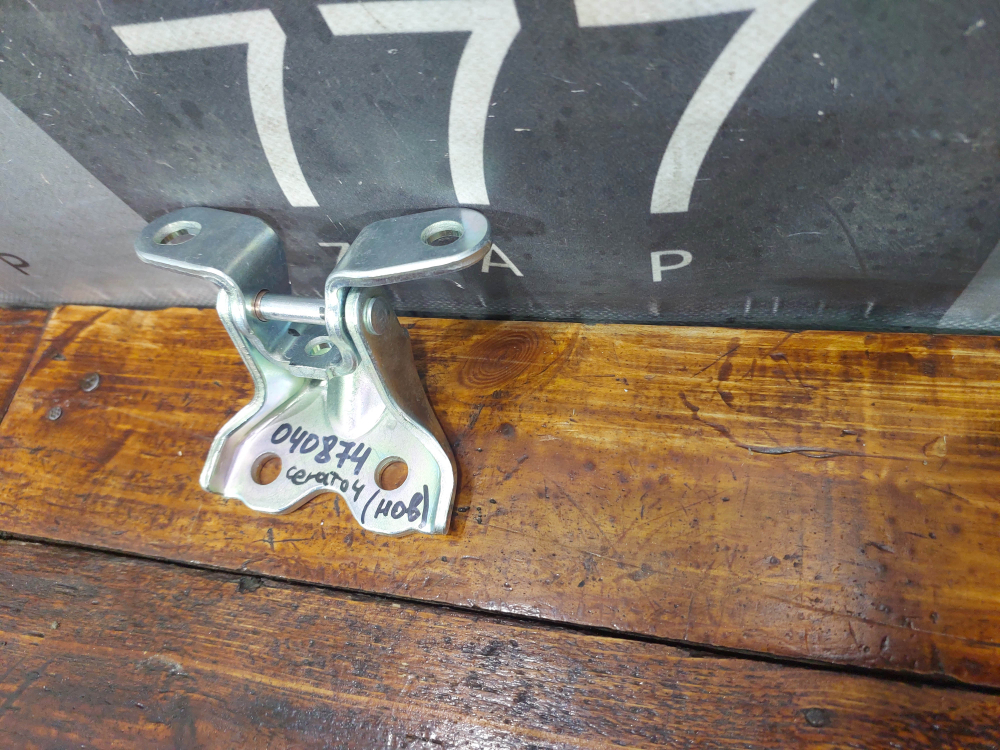 Петля двери передней левой нижняя Kia Ceed 3 (CD),  Cerato 4 (BD) 18-нв Новое Оригинал 793151Y300