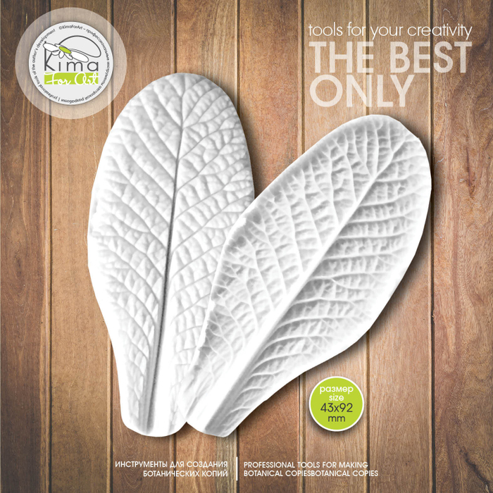 Примула лист большой