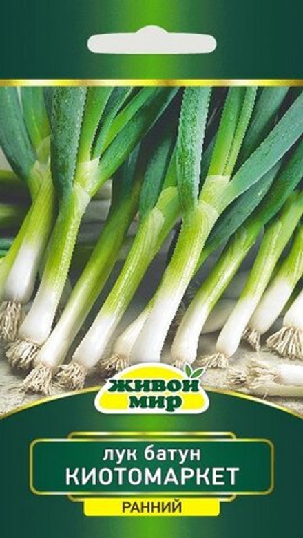 Лук-батун "ЖМ. Kиoтo Mapкeт" 1г., Италия.