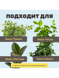 Органический грунт для фикуса 2 л