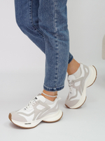 Кроссовки женские демисезонные BALENCIAGA 8028-1\F06-R287