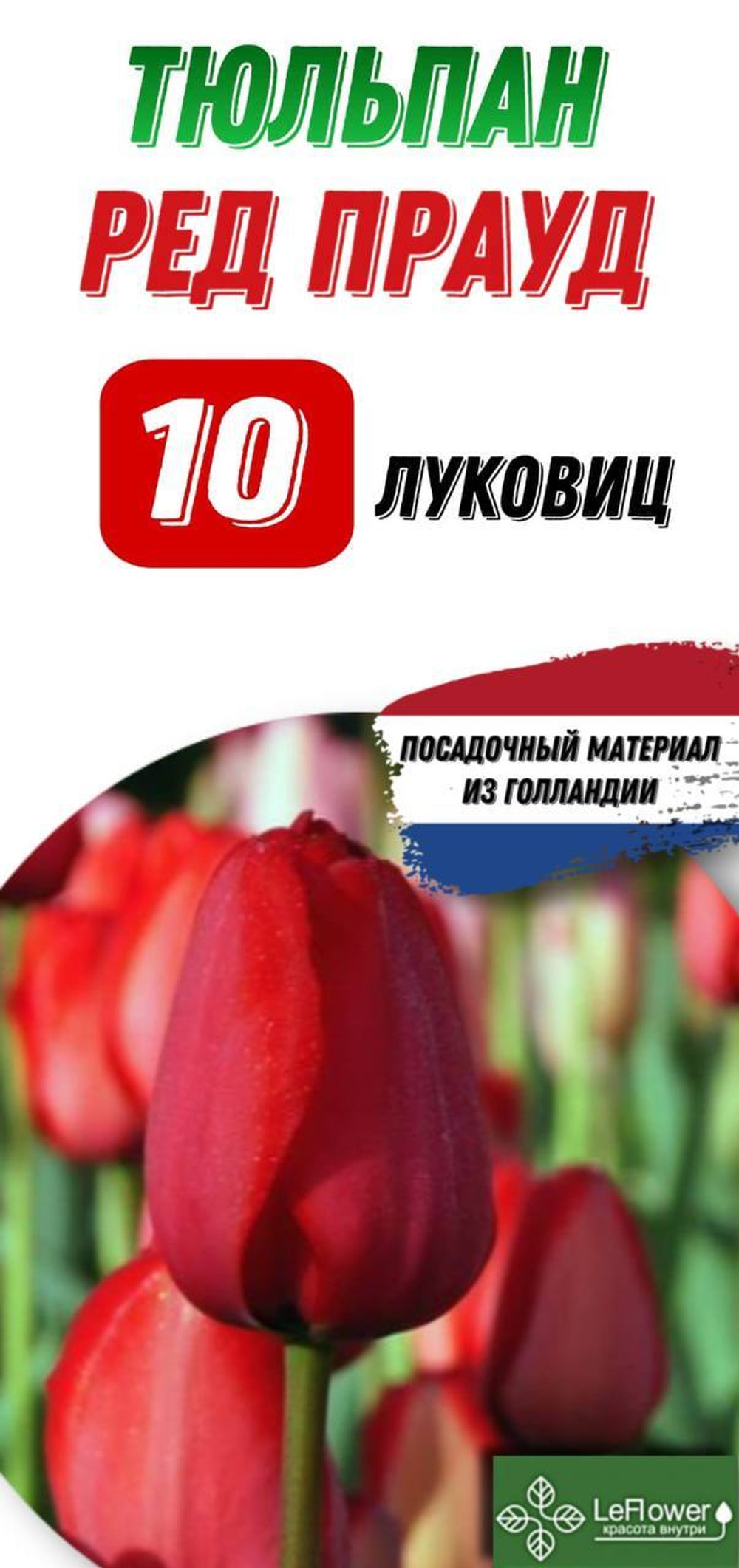 Тюльпан Луковица, Ред Прауд, 10шт
