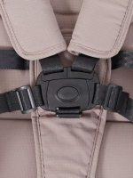 Прогулочная коляска Rant Moss 2025