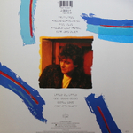 Robert Plant / Shaken 'N' Stirred (LP)