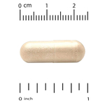 California Gold Nutrition, EuroHerbs ™, экстракт женьшеня обыкновенного, качество Euromed, 250 мг, 60 растительных капсул