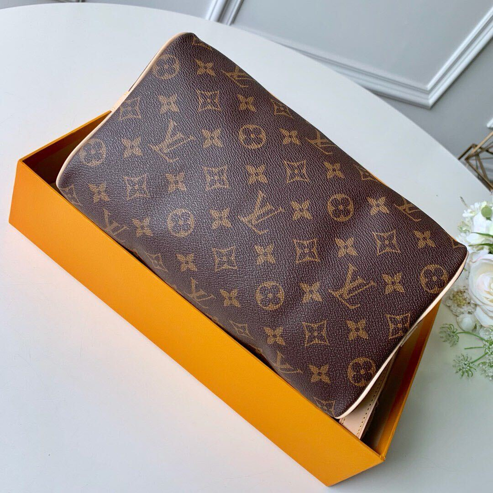 Louis Vuitton Speedy 25