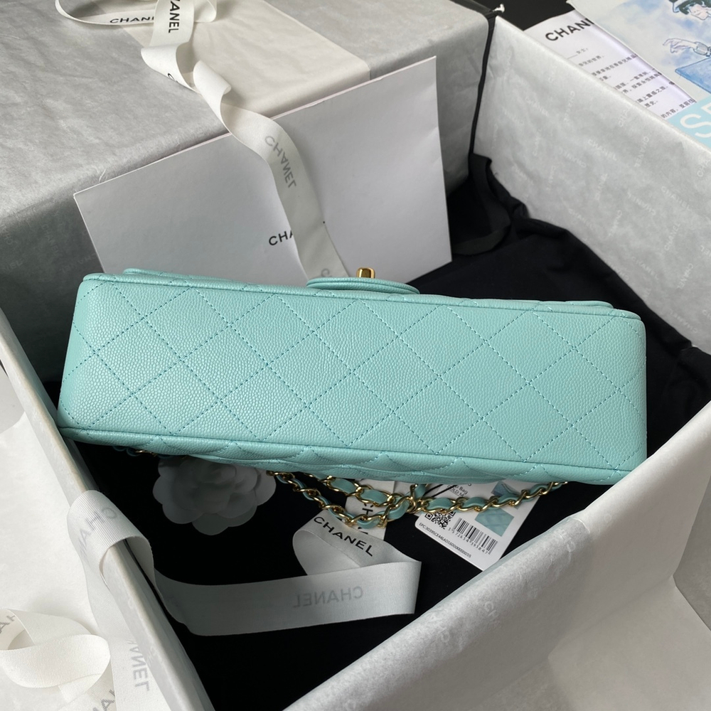 Chane1 Classic Flap Bag 25 cm
