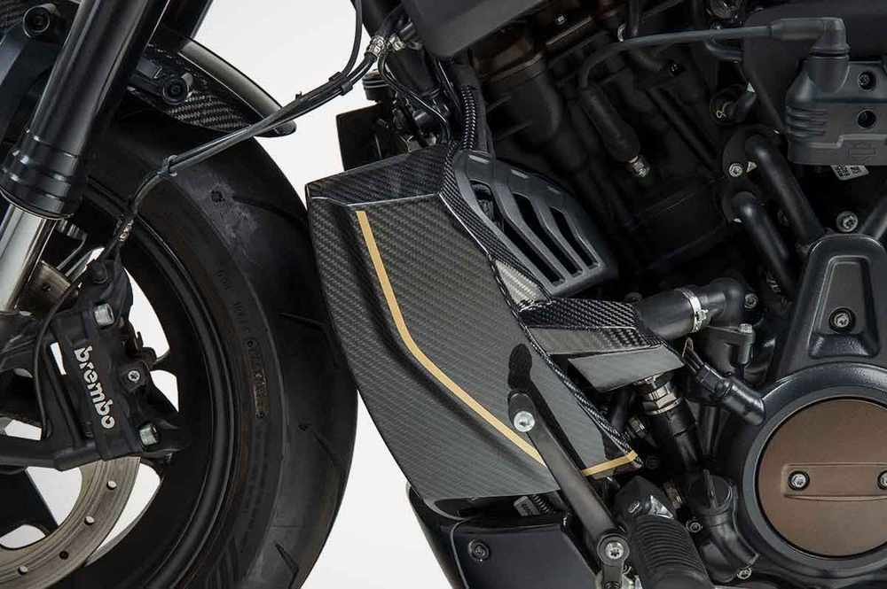 Zard Накладки радиатора + задняя боковая панель "120TH" Harley Davidson Sportster S 1250 (2021+)