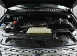 Ford Expedition Platinum 4WD (10.2021)