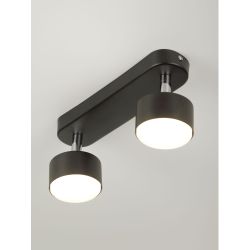 Светильник настенно-потолочный спот Rivoli Alesta 7079-702 2хGX53 15 Вт поворотный | Rivoli
