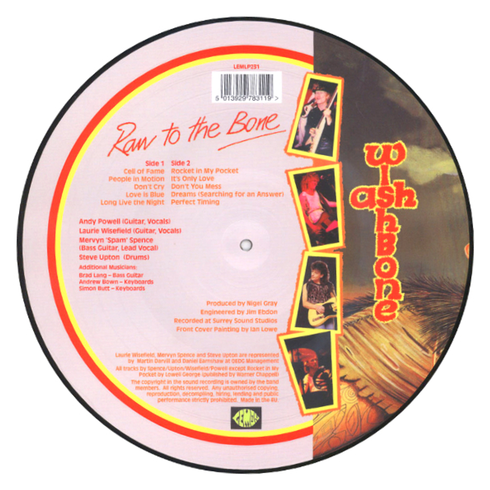 Wishbone Ash / Raw To The Bone (Picture Disc)(LP)