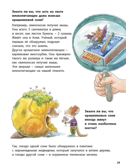 Кто такая орешниковая соня? Познавательные истории. Фридерун Райхенштеттер