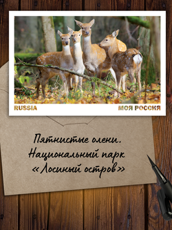 Моя Россия. Осень (выпуск №5, 2025)