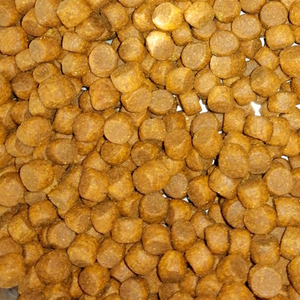 Сухой корм ProBalance Immuno Adult Small&Medium для взрослых собак малых и средних пород