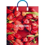 Пакет ПЭ с пластмассовыми ручками 38+3см(Совершенство) Глянцевы (комплект 5 шт)