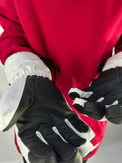 Перчатки CHANRICH