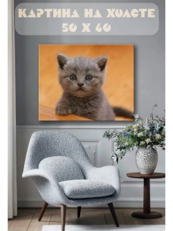 Картина на стену 40 X 50 Котенок