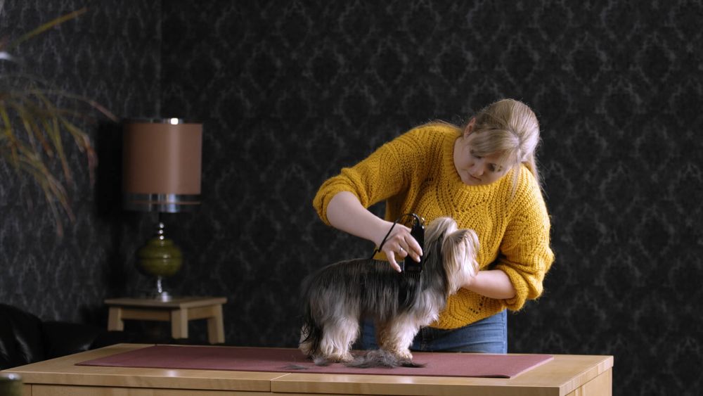 Машинка для стрижки животных Moser 1400 (1406-0076) - 8