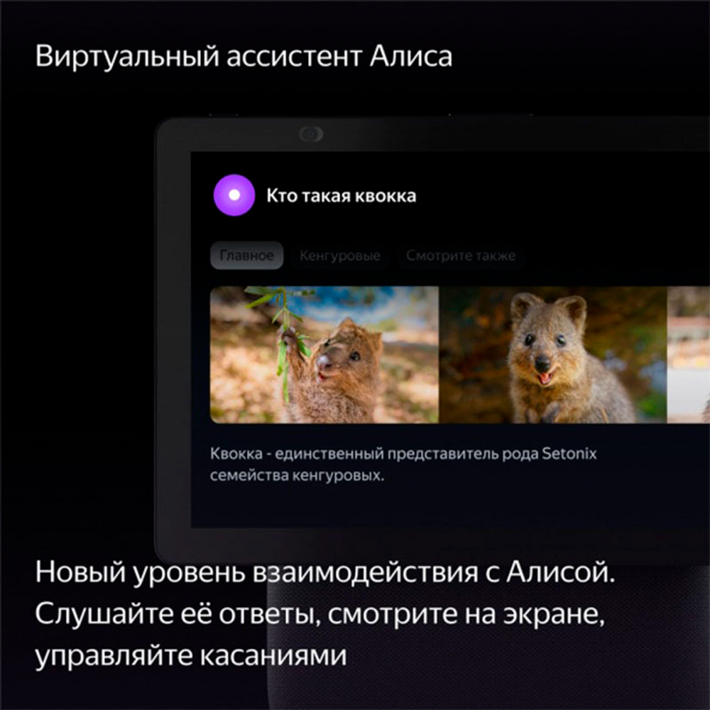 Умная колонка Яндекс Станция Дуо Макс, чёрный