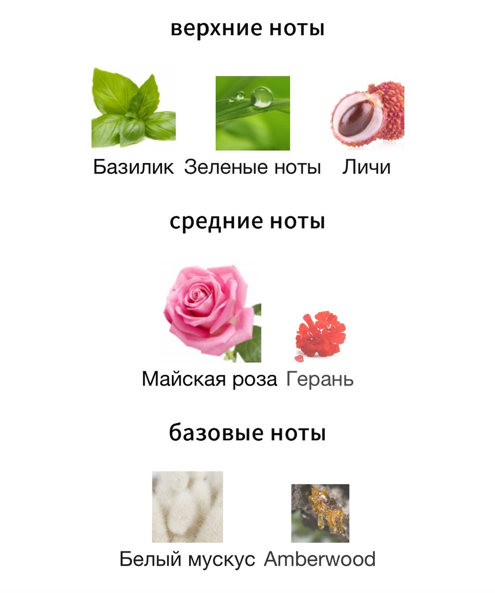 Jo Malone Rose Blush Cologne 2024 Limited Edition