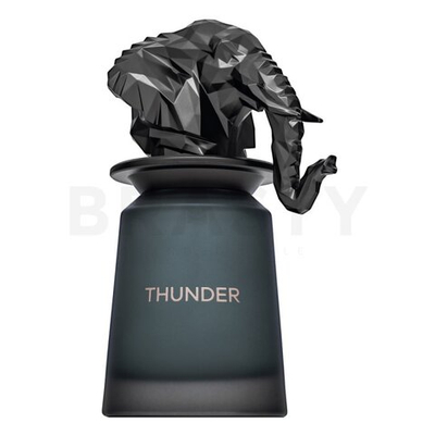 French Avenue Thunder EDP M 100 ml