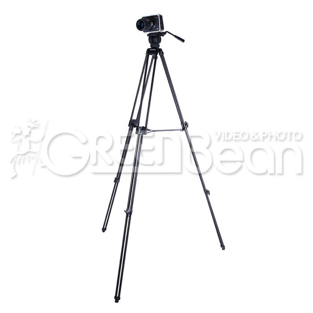 GreenBean VideoMaster 307