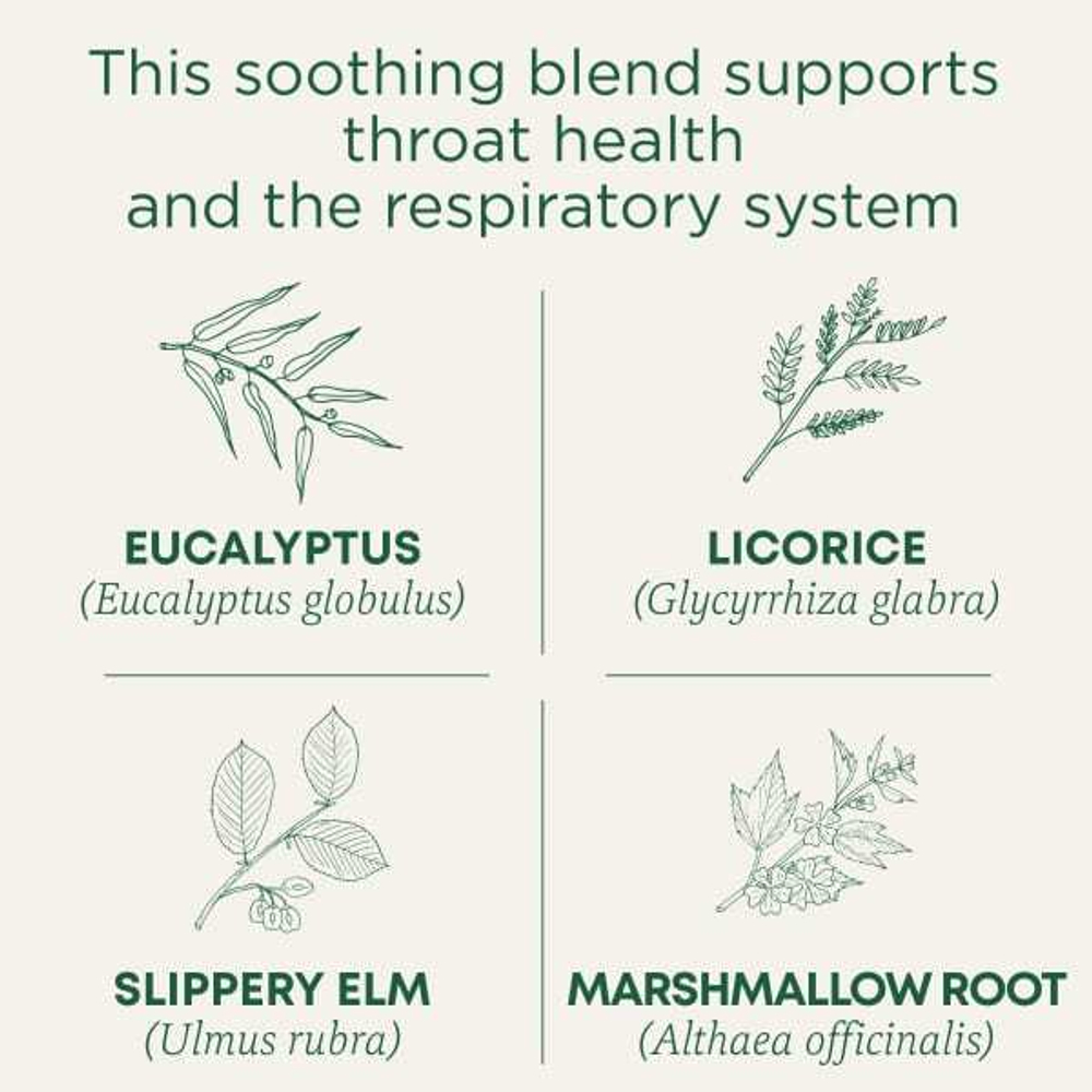 Traditional Medicinals, Organic Throat Coat, эвкалипт, без кофеина, 16 чайных пакетиков в упаковке, 28 г (0,99 унции)