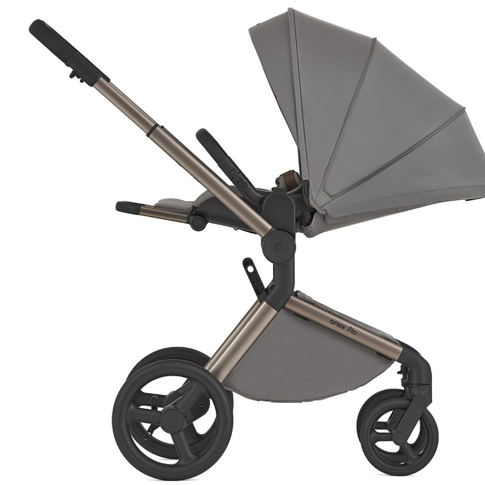 Детская коляска Anex Flo 2 в 1 Charm