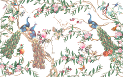 Коллекция Flora