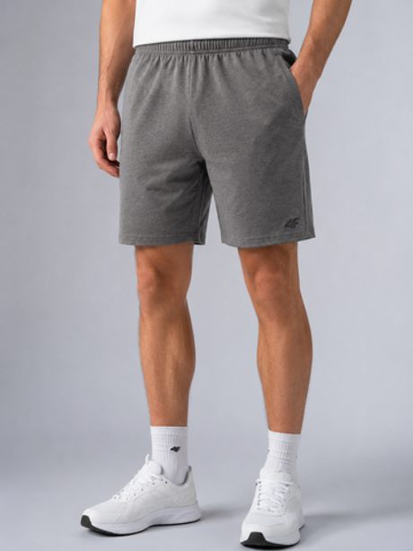 Мужские шорты 4F SHORTS FNK M383 COLD LIGHT GREY MELANGE