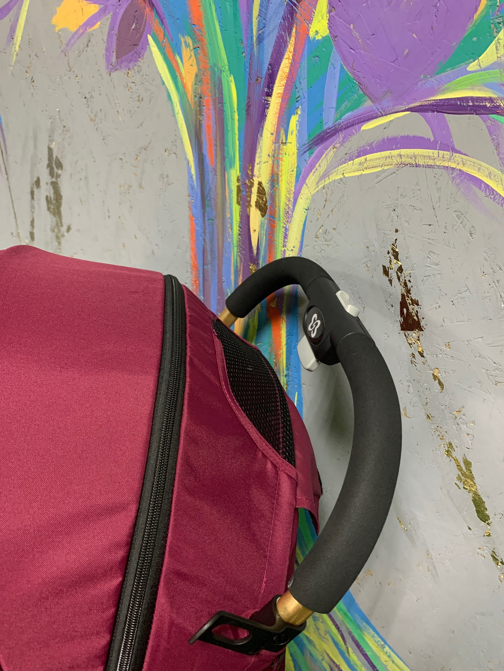 Коляска прогулочная Farfello Comfy Go, вишня Артикул: CG-19