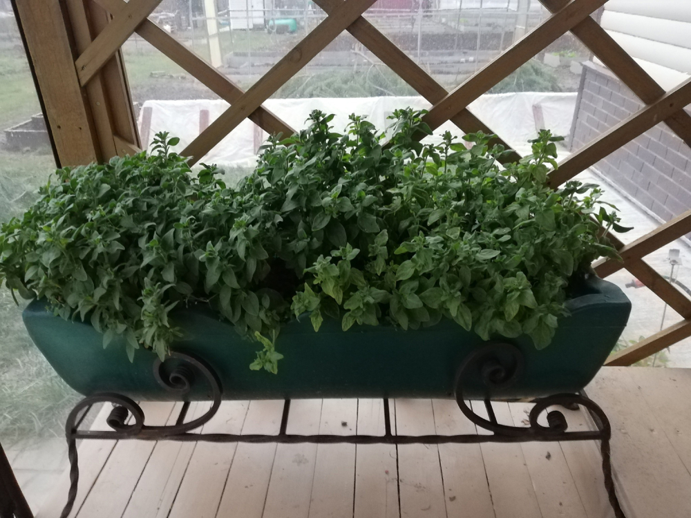 Садовый цветник ящик на подставке узор